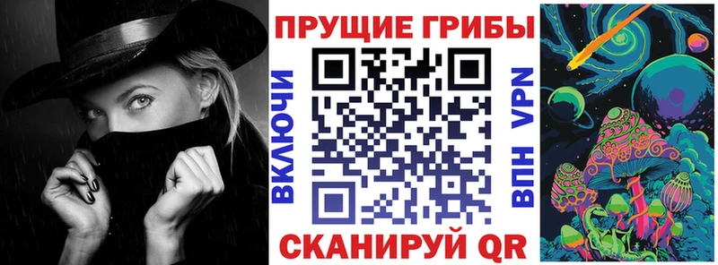 Псилоцибиновые грибы Cubensis  Ленинск-Кузнецкий 